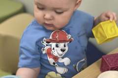 Teddy