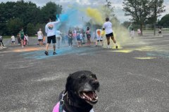 annual-Color-Run-1